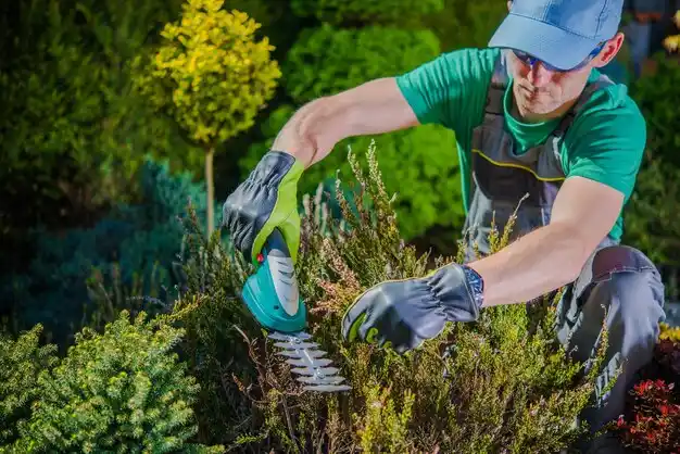 landscaping services North College Hill